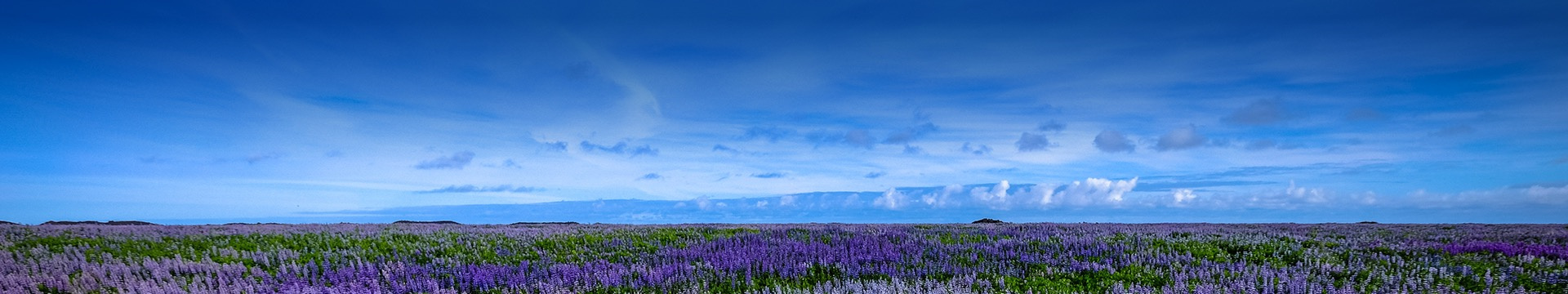 湖州桂花山公墓